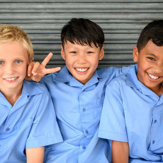 Princeton Blue Shirt (Short Sleeve - Collar)